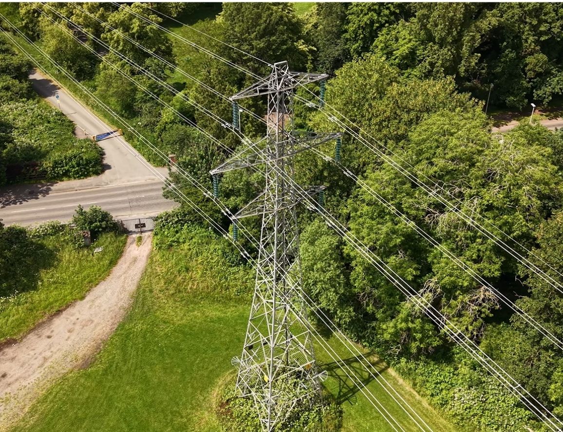 Landscape view of power pylon surrounded by greenery